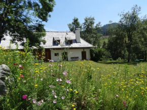 Гостиница Klösterle Haus Resi  Арриах